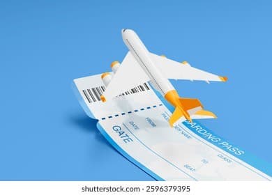 Flight Bookings